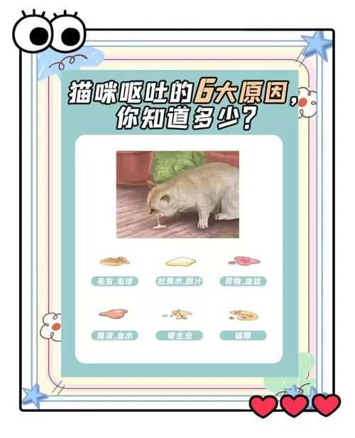 猫咪一直干呕怎么回事