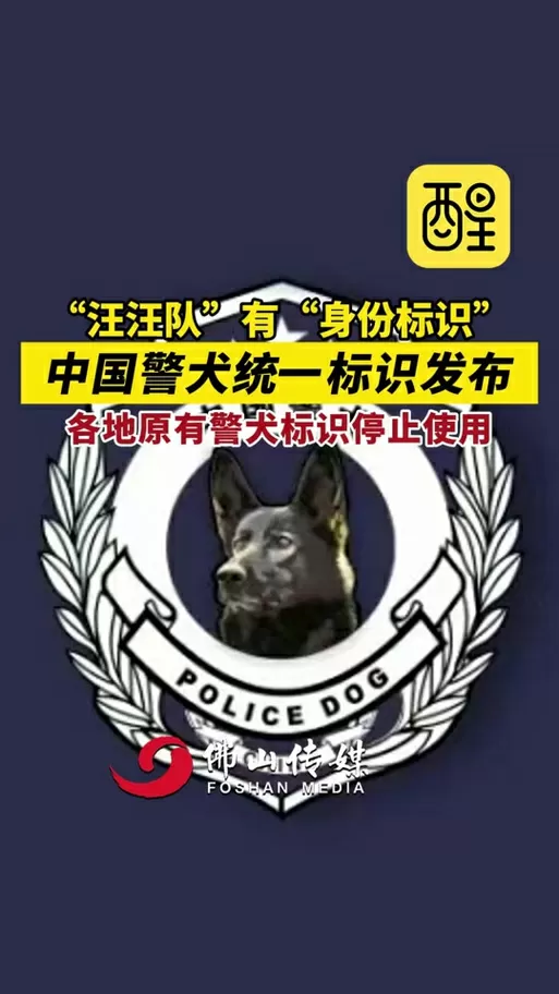 养狗场犯法吗