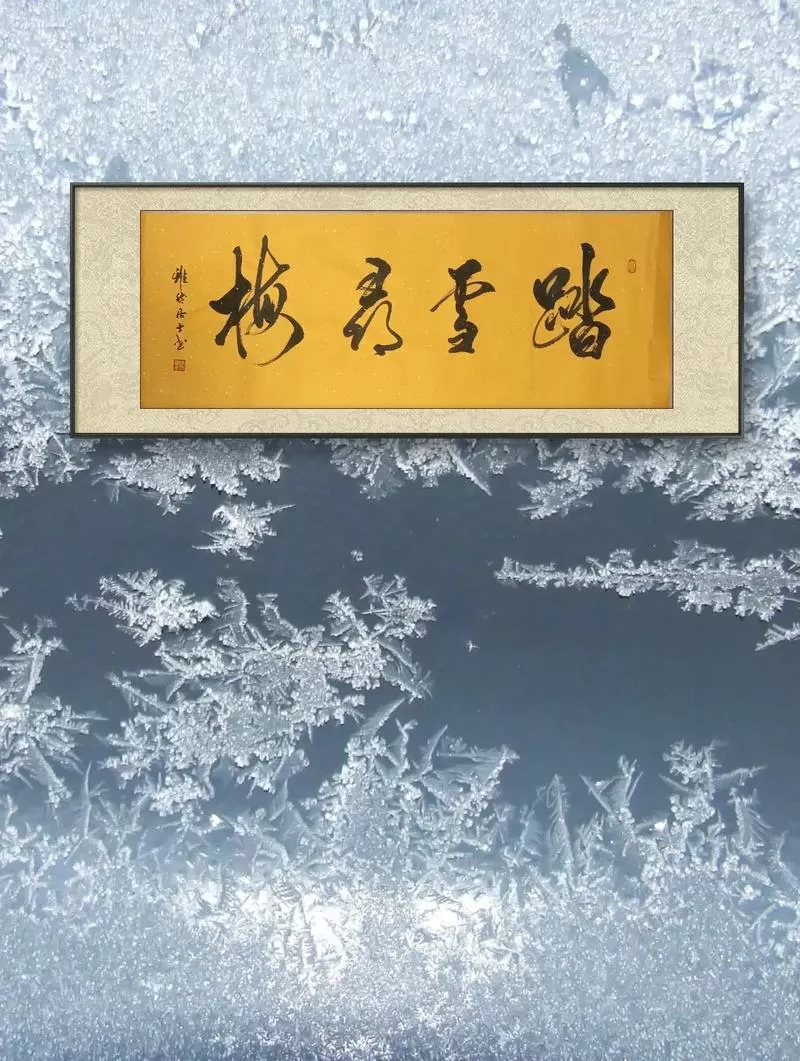 踏雪寻梅亮点在几时几分