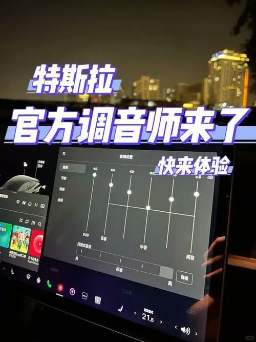 特斯拉音频设置