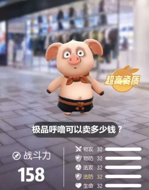 满资质小呼噜多少钱