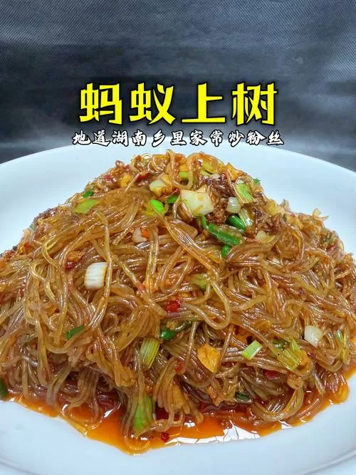 蚂蚁上树是什么