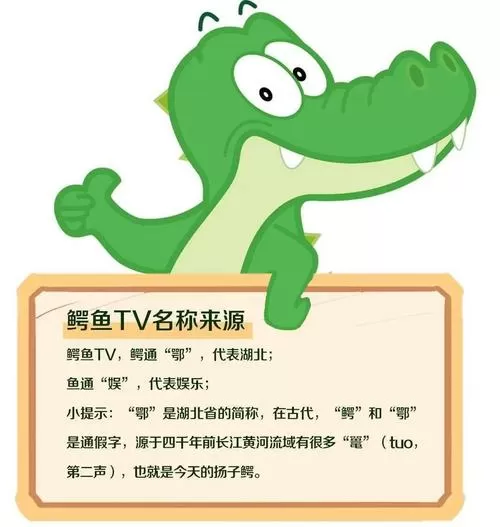 鳄鱼tv安卓版下载