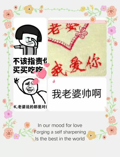家有懒妻是个宝全文免费阅读
