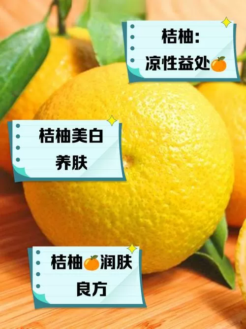 桔柚凉性还是热性