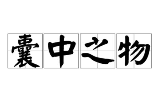 蘘中之物什么意思