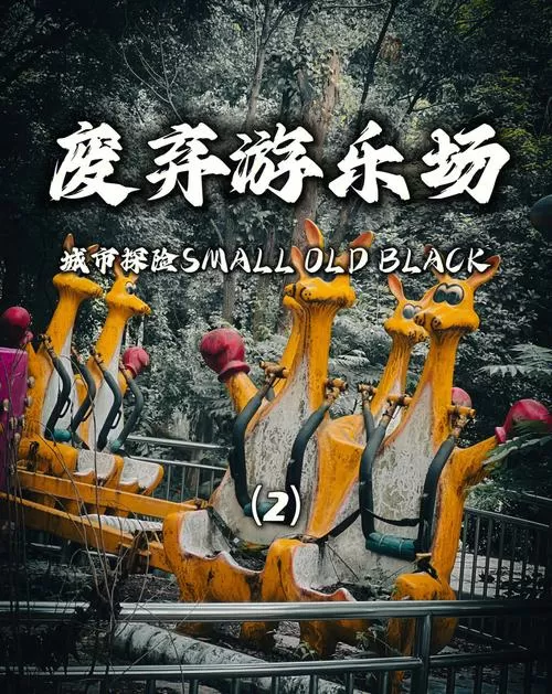 废弃的游乐园长什么样子图片截图