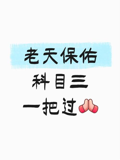 科目三计划30人就只考30人吗