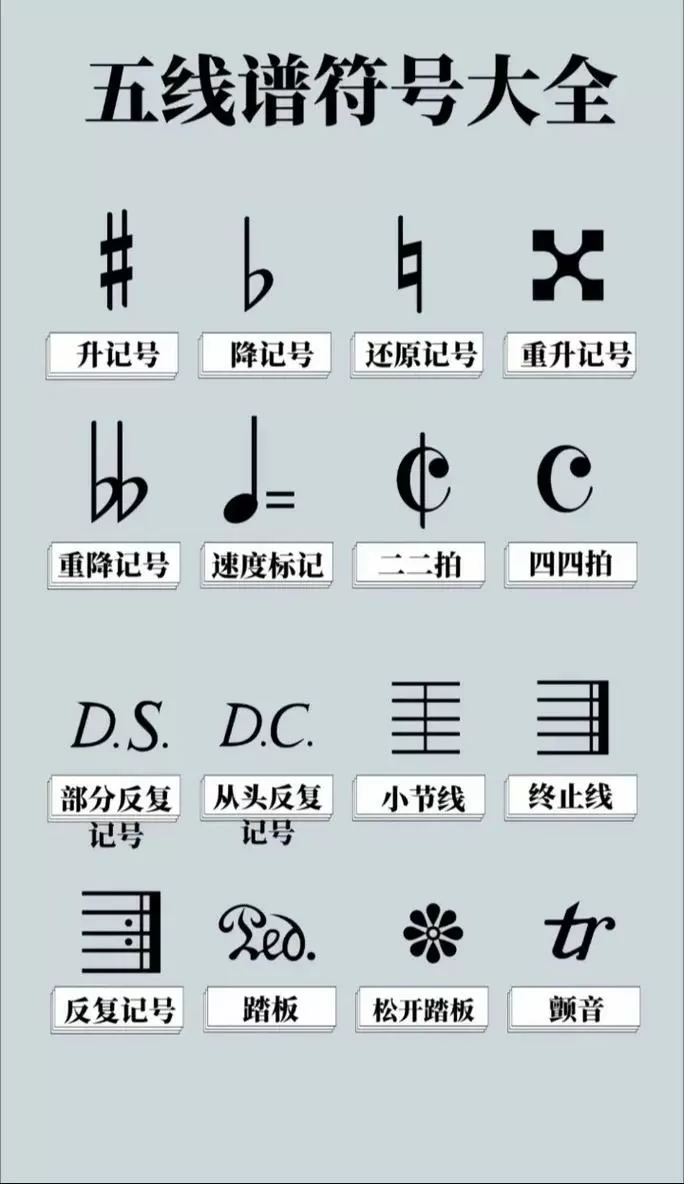 大提琴五线谱音符对照表