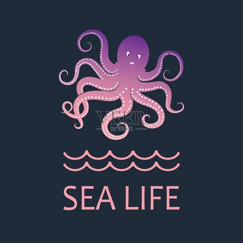 粉色的海洋在哪里