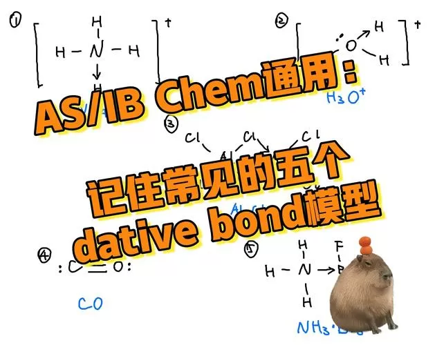配位键算不算西格玛键