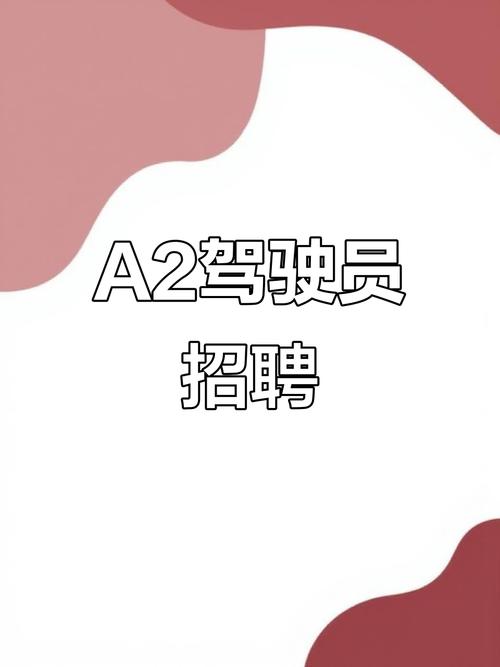 公安局招聘A2驾驶员