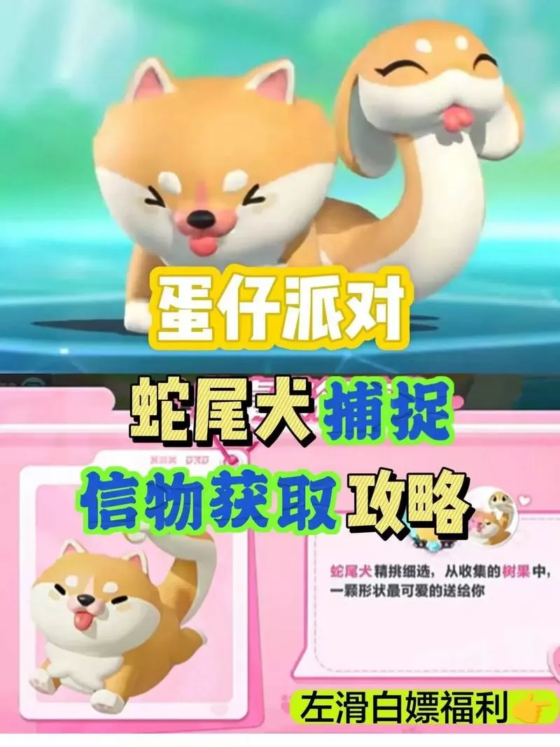 蛇尾犬的信物获取方式