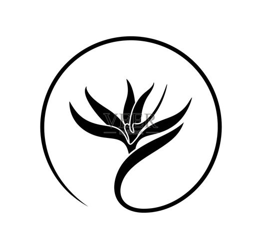 天堂鸟手绘图片