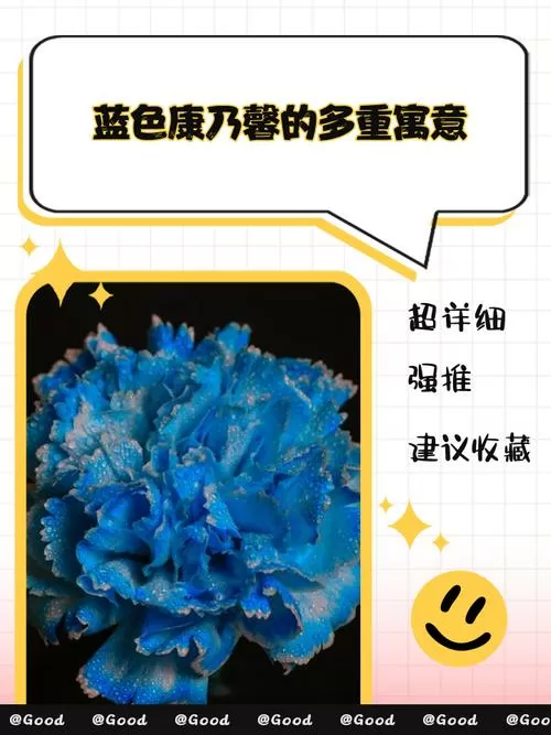 康乃馨蓝色代表什么意思