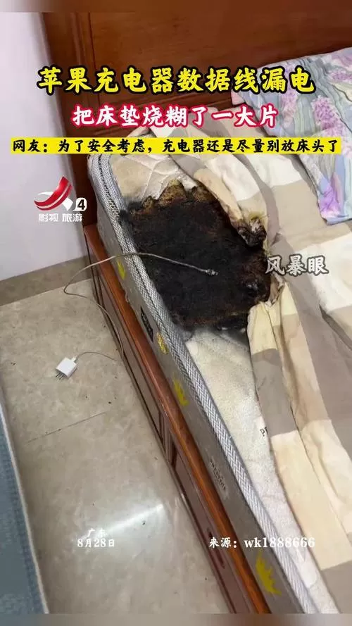 手机充电器漏电会电死人吗