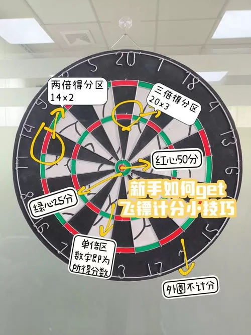 飞镖分数图解