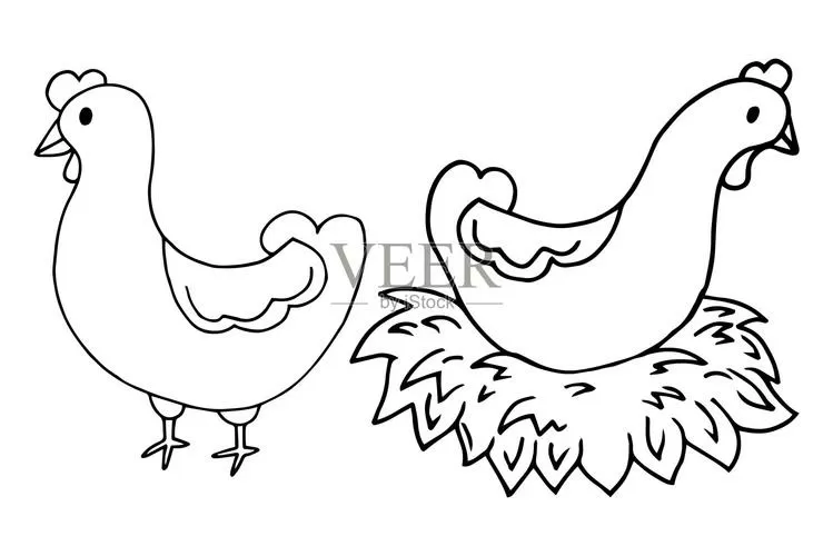 农场养鸡简笔画