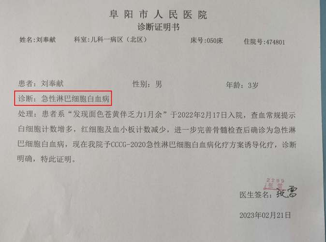 白血病诊断报告单图片