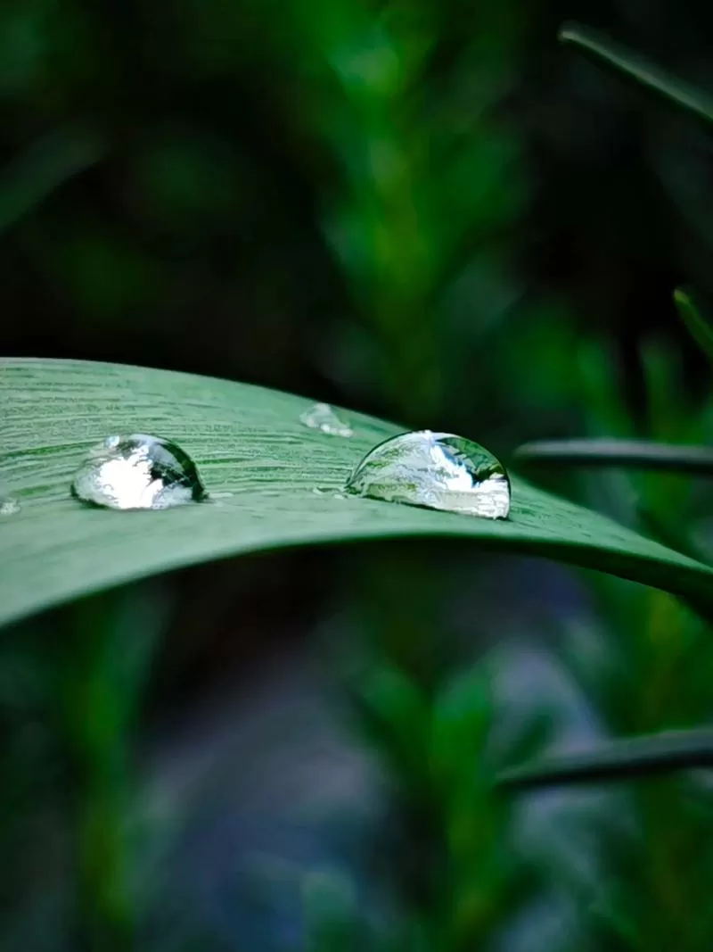 雨滴桌面怎么完全删除