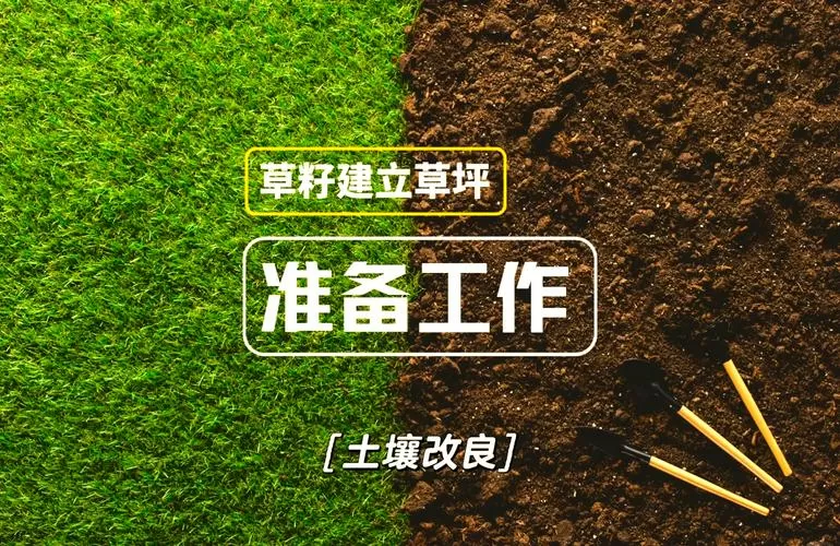 土地开荒的方法步骤