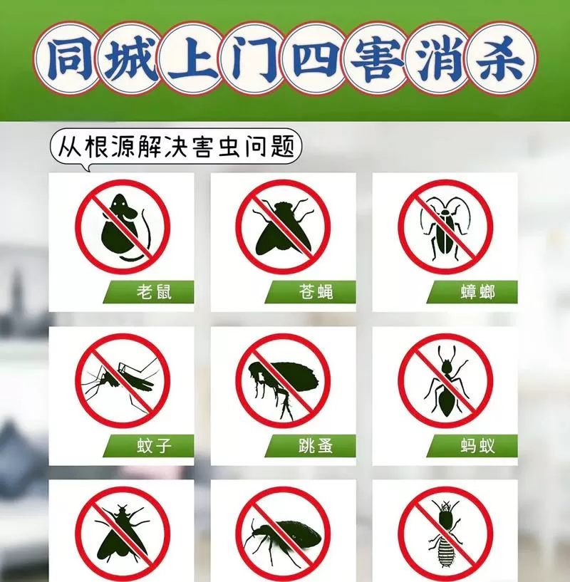 为什么会有白蚁出现