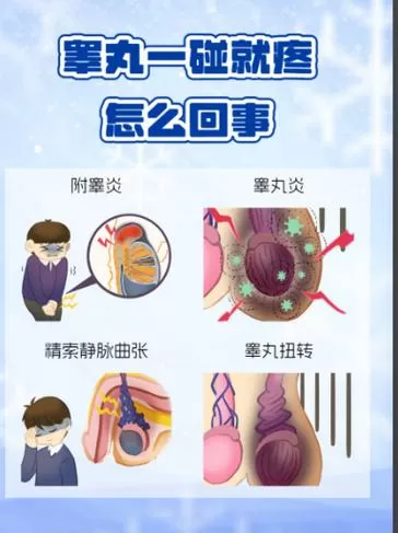 睾丸疼痛的原因