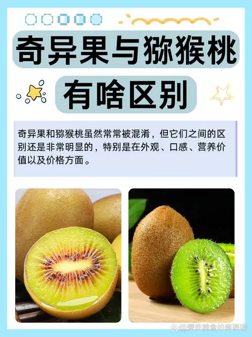 奇异果和猕猴桃有什么区别