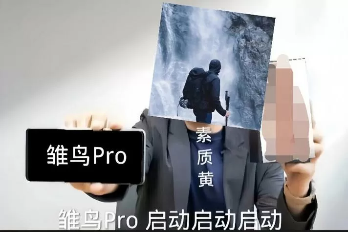 雏鸟pro广告入体