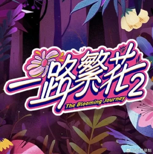 《一路繁花2》收官