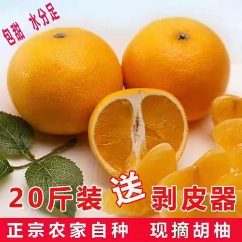 红柚发苦图标