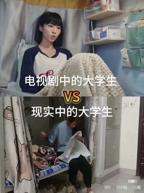 魅力大学生免费观看电视剧