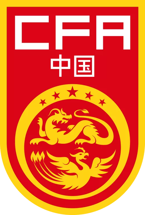 中国队员面带鲜血过终点线图标