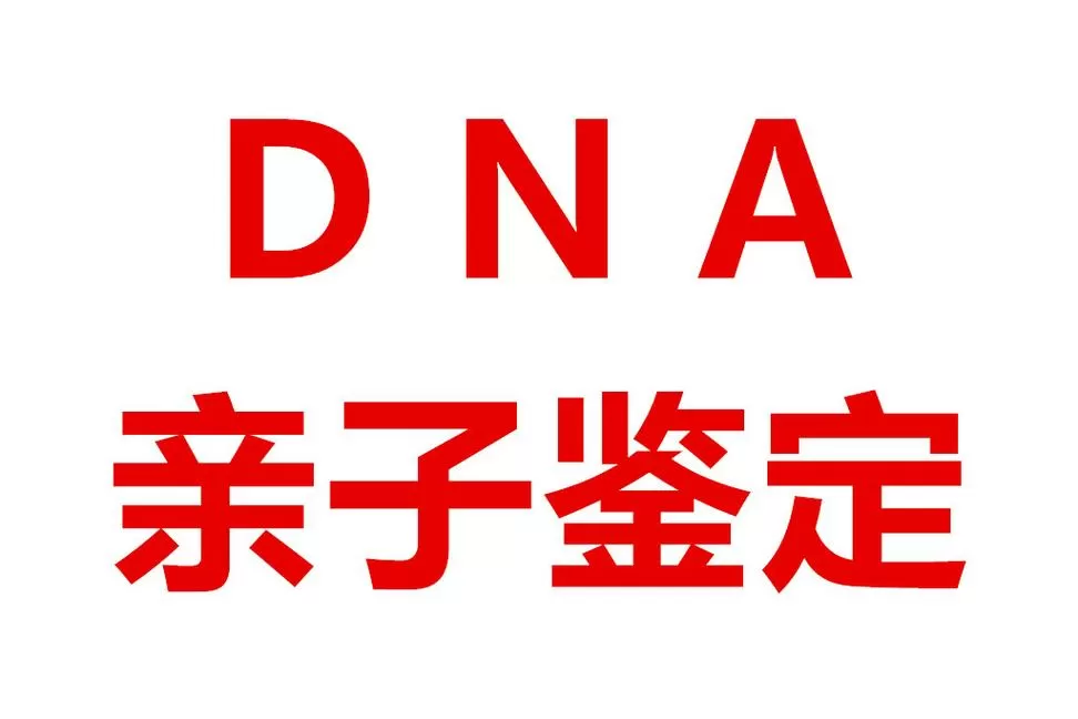 直到总裁看到亲子鉴定的那一刻