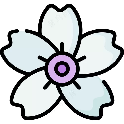 白樱花