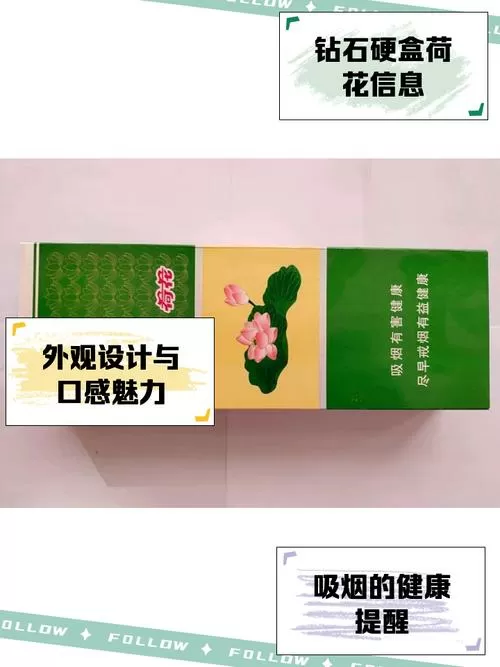 荷花烟怎么出名的