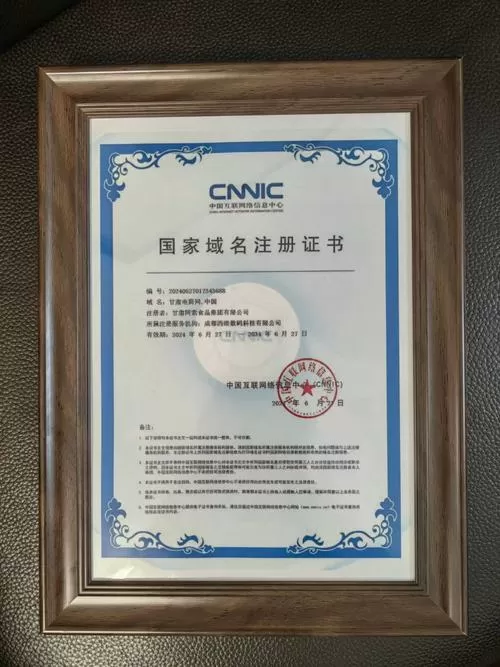 域名证书怎么下载