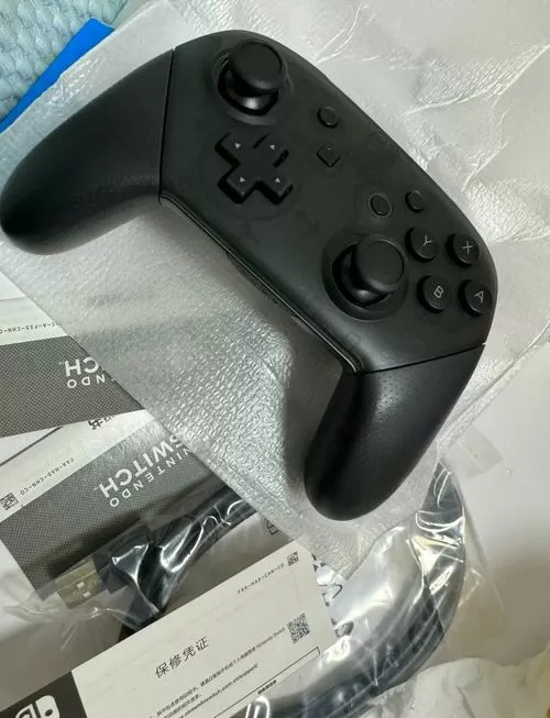 switchpro重置蓝牙