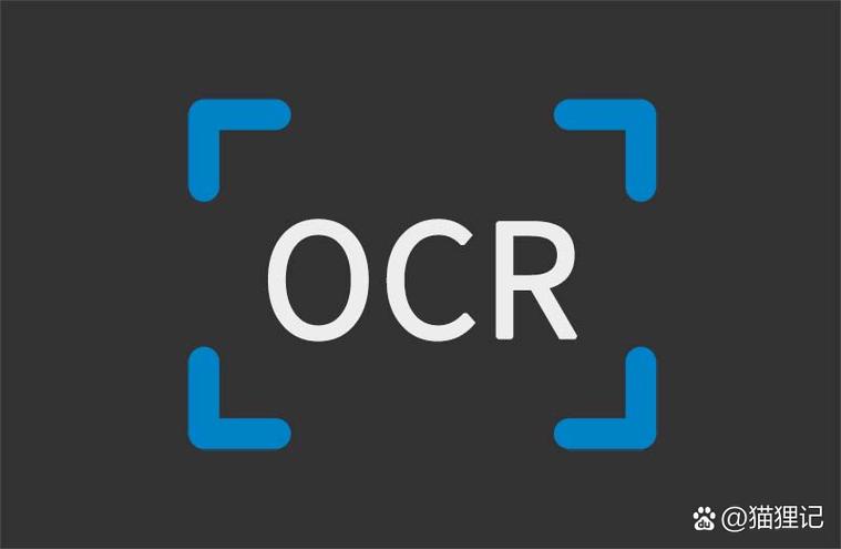 天若ocr文字识别已停止工作