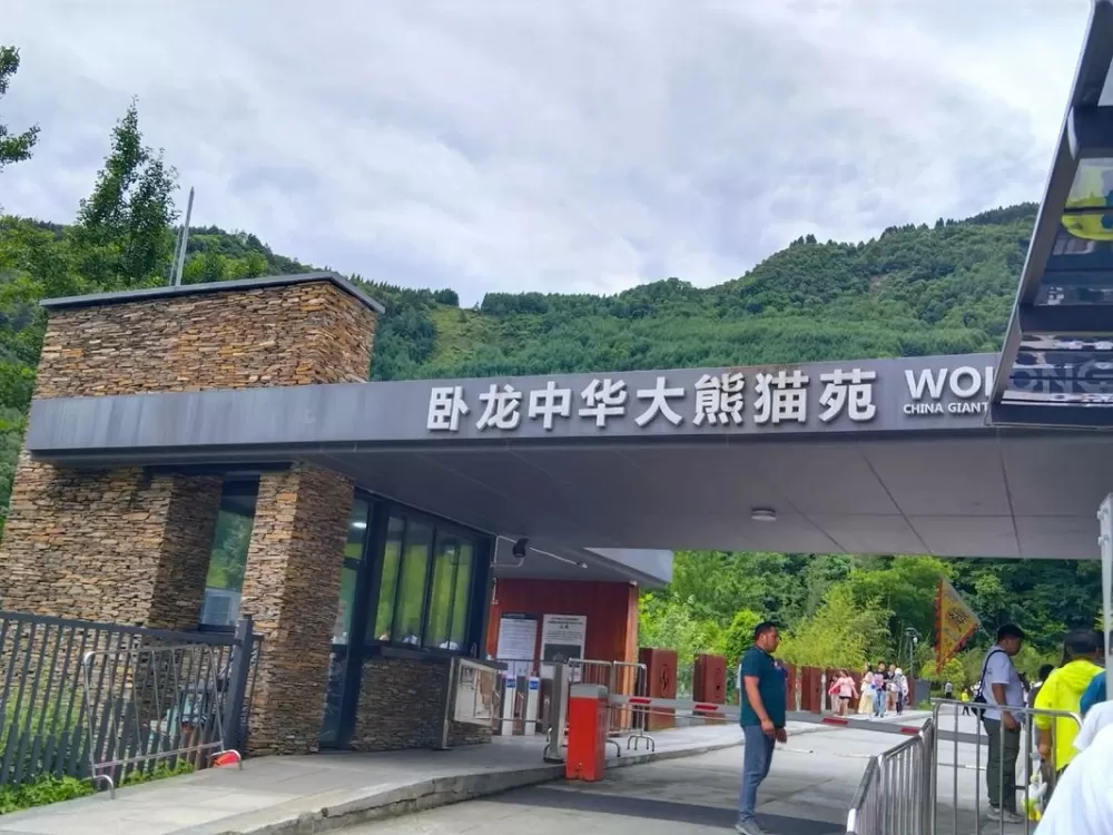 大熊猫卧龙基地