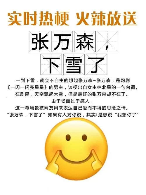 张万森下雪了,下一句是什么?