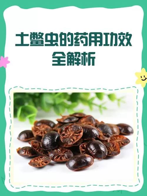 地鳖虫的功效作用