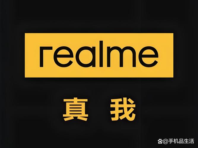 realmet100说明书