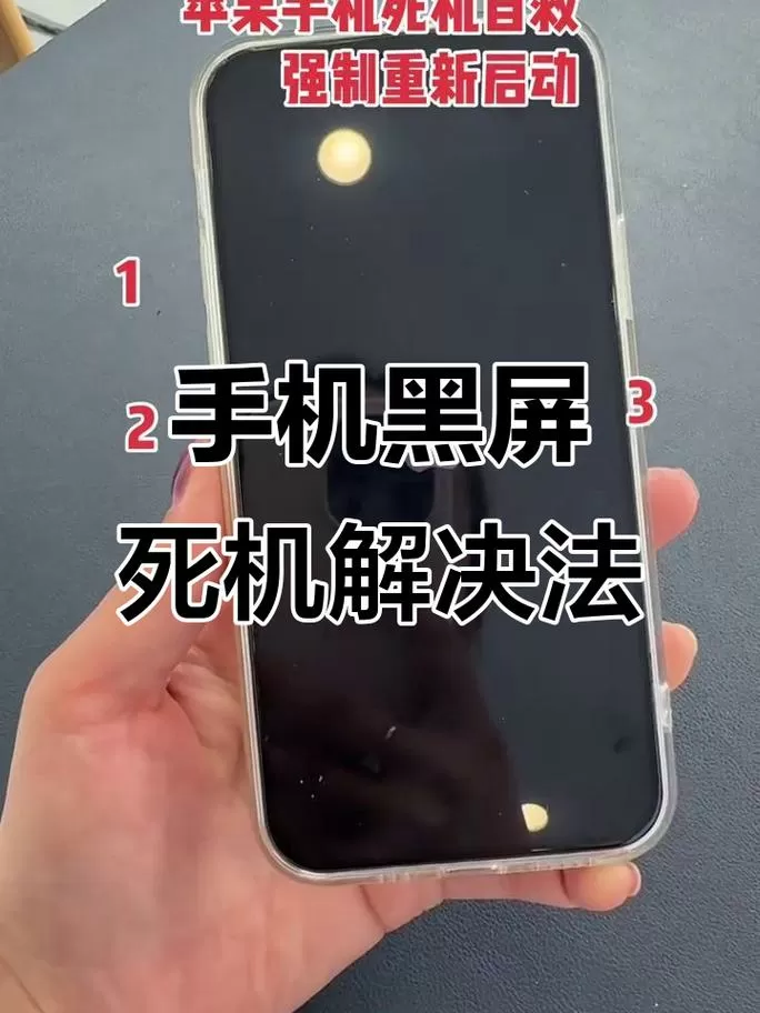 苹果屏幕黑屏怎么按键都亮不起来