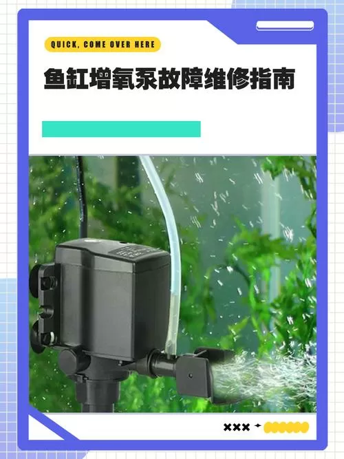 鱼缸泵上的空气管怎么用