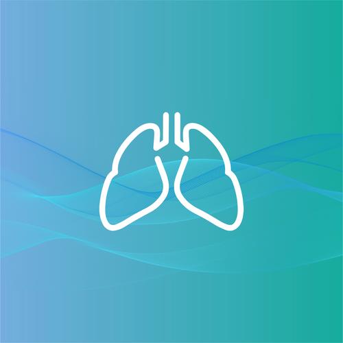 肺的导气部包括