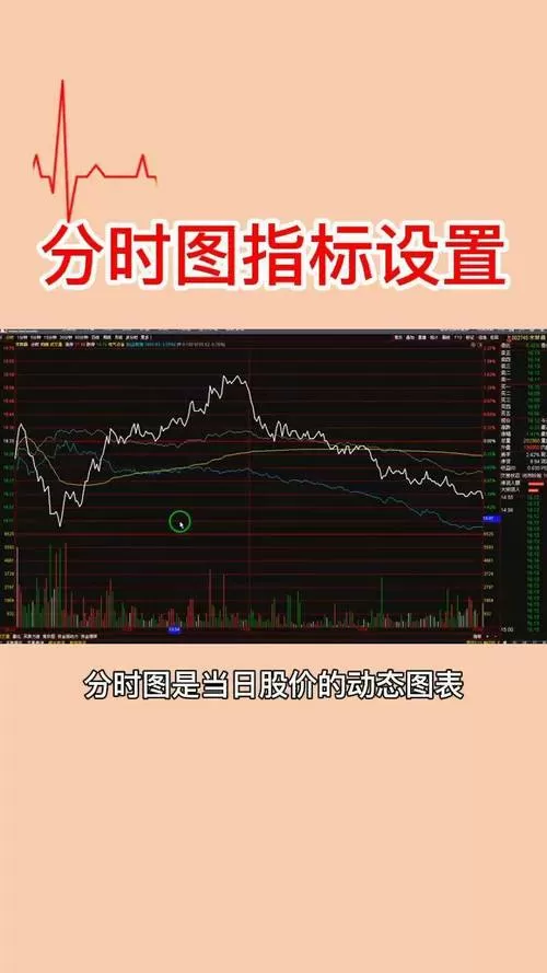 每日分时线怎么看