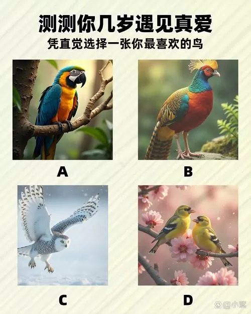 老六爱找茬177关答案