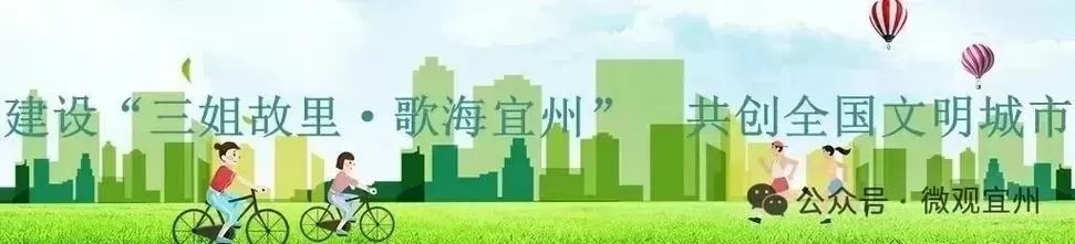 宜州区新闻宜州论坛