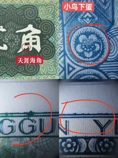 海角账号vip兑换码纪念版是什么